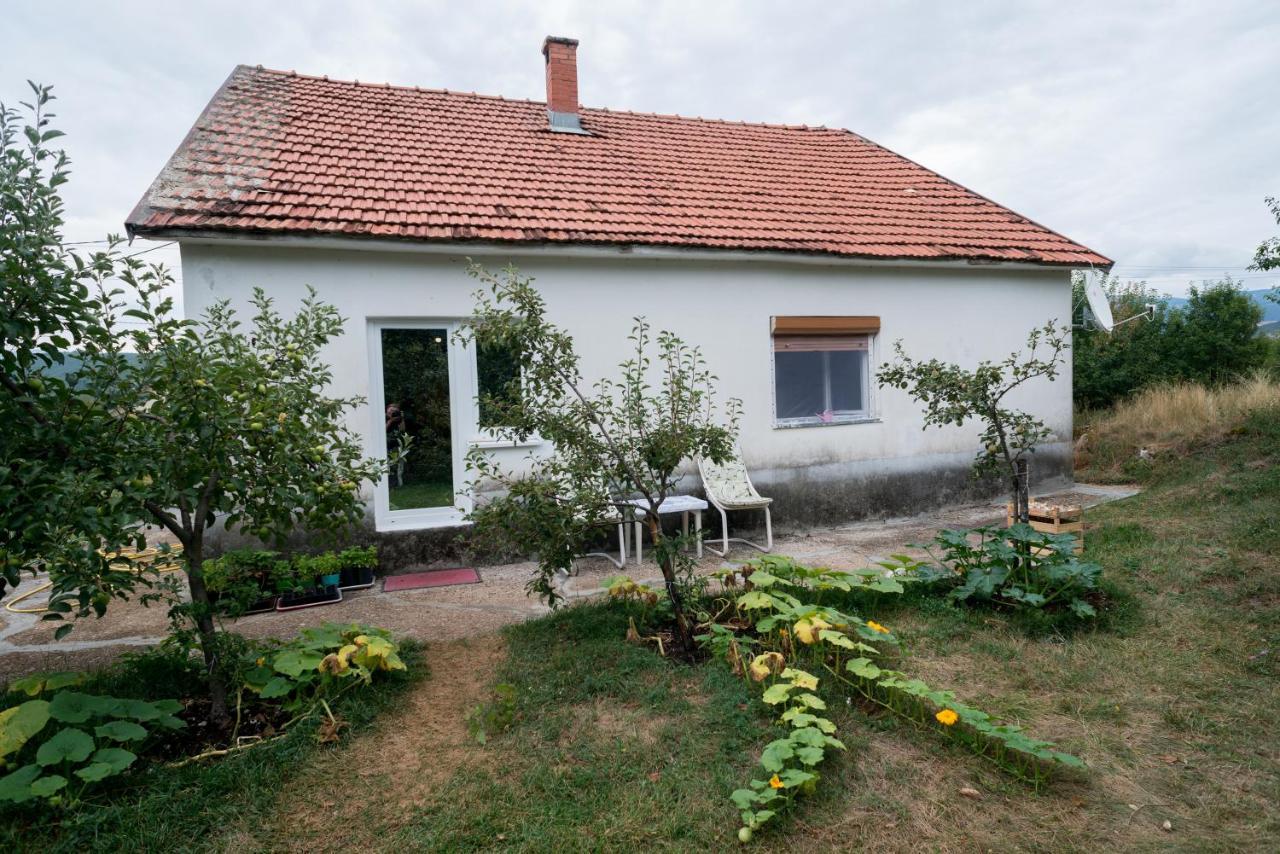 Villa Kuca Na Selu + Besplatan Parking Nikšić Esterno foto